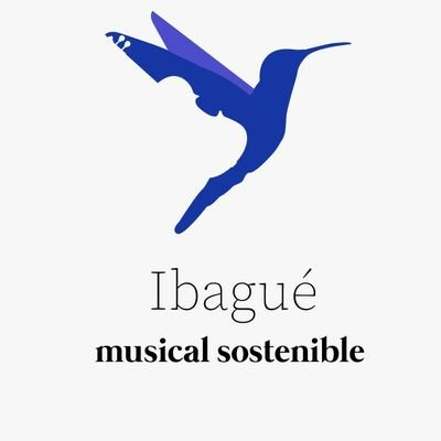 Equipo que trabaja por convertir a Ibagué en una ciudad Sostenible desde la música y la danza.