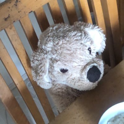 九条さんのプロフィール画像
