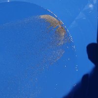 Mike85 (@mike8585439241) 's Twitter Profile