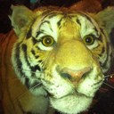 Daniel Charland - @danielcharland - Twitter