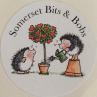 Somerset Bits & Bobs(@somersetmasks) 's Twitter Profile Photo