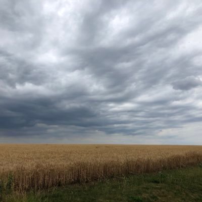 zh303's profile picture. 