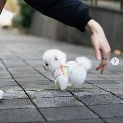 ssam5128's profile picture. 