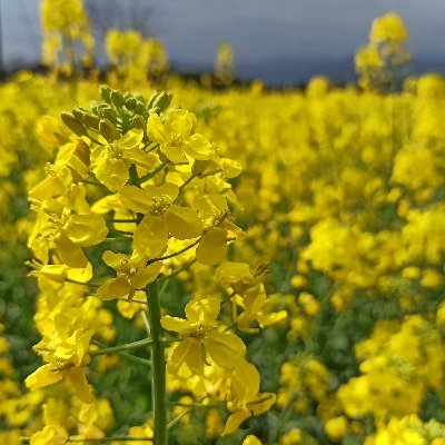 haozi2824's profile picture. 