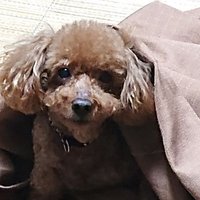 タケ (@l0vhw3con1z28o5) 's Twitter Profile