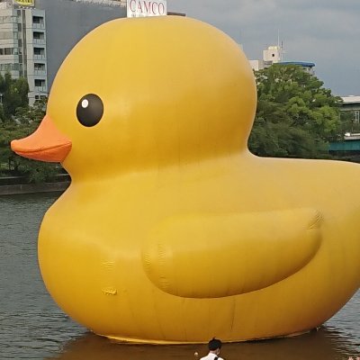 ろりめくとは
恐怖や心配により落ち着かず興奮することである。