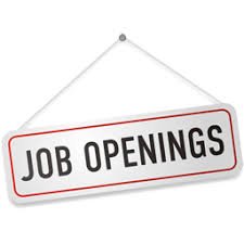Recruiter | HR Entrepreneur | Virgo | Nature Lover | Gardening Enthusiast | Loves to be challenged in Chess & Crossword. Tweets, RT & views are personal.