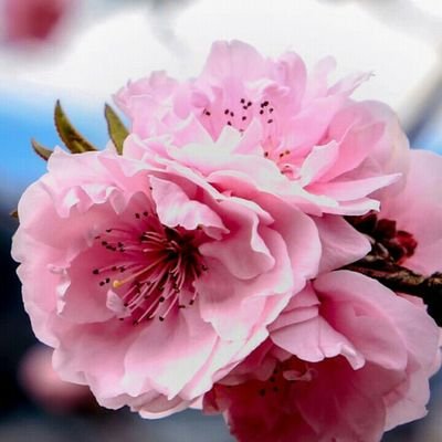 Weforchange2's profile picture. Tomorrow is beautiful,just start carving it out from today.