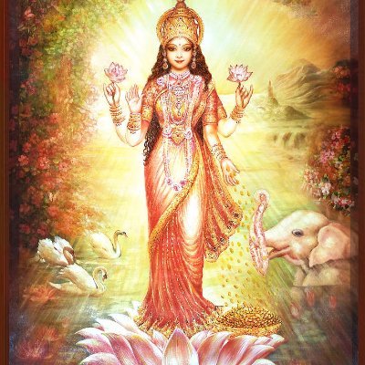 wadewoytal's profile picture. 