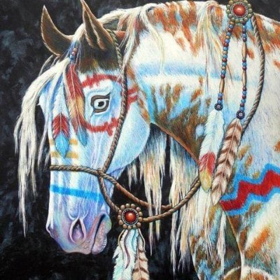 Love, Lights, Lessons, Lucky Breaks, Horse And Pony Shows, Dances In The Light Of Day. Heading Out To A Brand New World. Blue Oceans To Create. Wants, Needs 2.