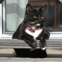 Mandy Barr - @mandabar65 - Twitter