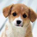 Sumathi Reddy - @SumathiReddy12 - Twitter