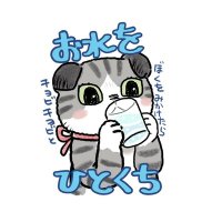 たいようこうべ🐾【＃自公維は🏺統一】(@taiyokobe1) 's Twitter Profile Photo