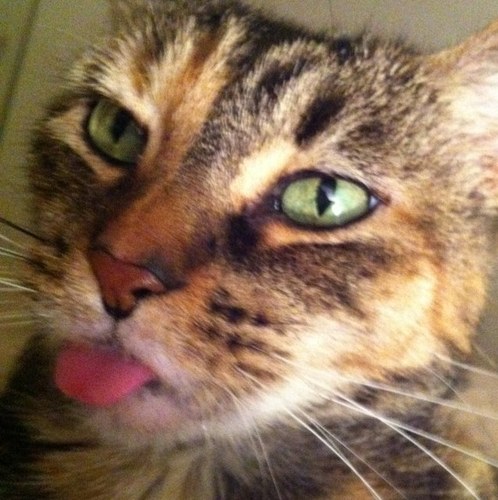 sunnie0921's profile picture. 