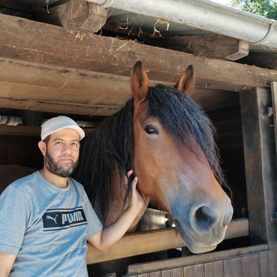 Hassan13590347's profile picture. 