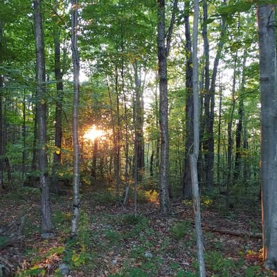 Small woman owned farm, on the Adirondack Coast, dedicated to natural, organic, sustainable living.