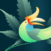 Green Tropics🦜 (@green_tropics) 's Twitter Profile Photo Green Tropics🦜 (@green_tropics) 's Twitter Profile Photo