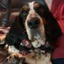 QuincyBasset (@quincybasset) Twitter profile photo QuincyBasset (@quincybasset) Twitter profile photo