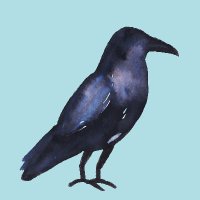 Raven の Nest(@EmanueleRaven) 's Twitter Profile Photo