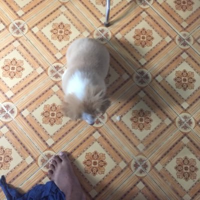 AidenNguyen93's profile picture. 