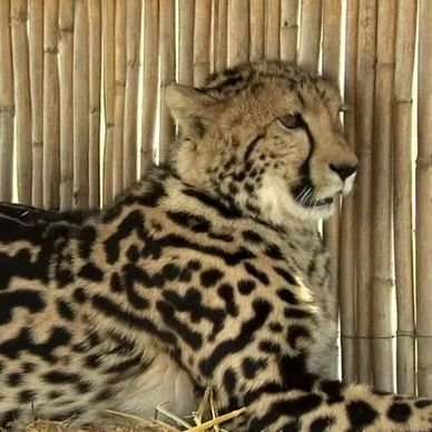 gmusyoki95's profile picture. Social provocateur