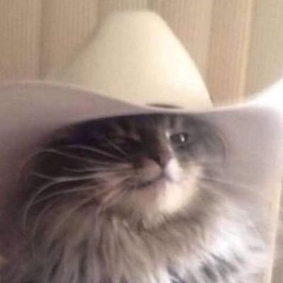 GuilhermensOw's profile picture. 