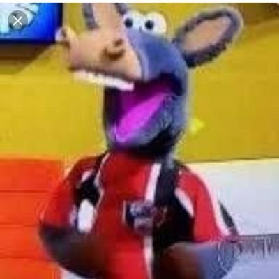 Perfil original, oficial e irreverente do JEC #unicoocta #Campeão Serie C #Campeão Serie B Só digo uma coisa não digo mais nada.