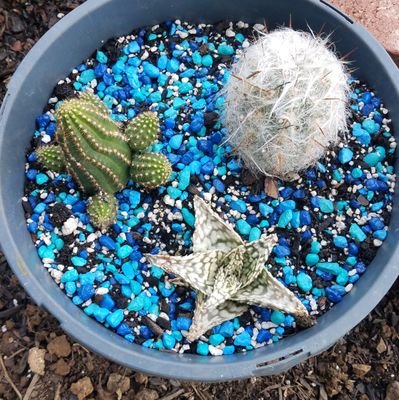 fae_house's profile picture. **makeup should enhance your beauty, not cover it up**- emerging esthetician and makeup artist
cashapp: $jkhouseofstylez
https://t.co/PhBvpuesUD