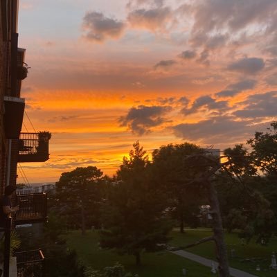 ShariVaskov's profile picture. 