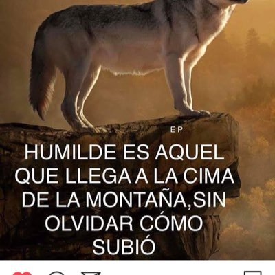 MartinJ73935019's profile picture. 