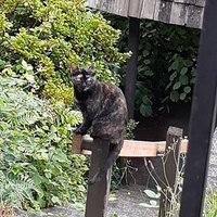 Dena Teeters (@denateeters) 's Twitter Profile