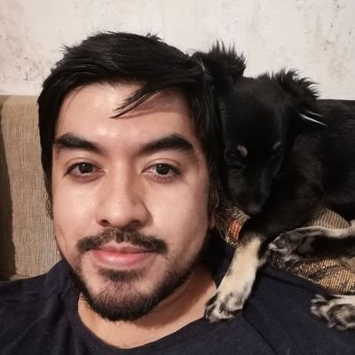 Bajista y community manager