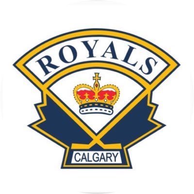 • 2020/2021 Calgary Royals U16 AAA Gold Hockey Team • #GoldStandard • 2-0-1 • Proud Member of the AEHL