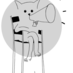 Belgian Cats (@belgiancats) Twitter profile photo
