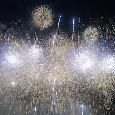 ウォーリー さつまいも詰め放題やってます 農産物直売所えがお 徳島県 鳴門市 鳴門金時 佐川農園 メルカリ