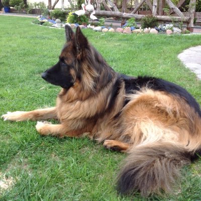 peterb204's profile picture. Managing Director of Treble B Tyre Services and RBS GRG Claimant