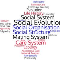 Seminar on Frontiers in Social Evolution(@FINE_seminar) 's Twitter Profile Photo