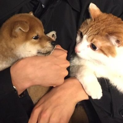 nakayamt1's profile picture. 