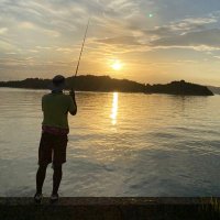 Jim2 (@every_day_jim2) 's Twitter Profile