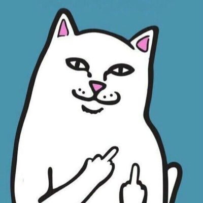 benjaminpinaje1's profile picture. 😸🤘seguir la vida 😸🤘