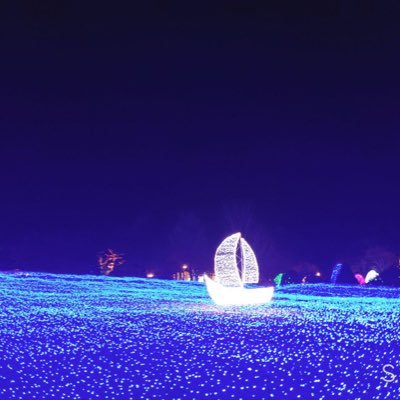 jiangmei614's profile picture. 愿家人们健康 快乐每一天～