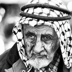 TXX400's profile picture. 