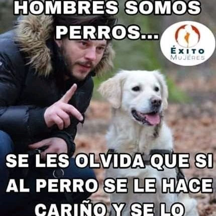 VMapariz's profile picture. El exso es lo mejor