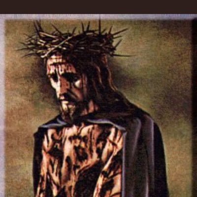 DeusVult1980's profile picture. 