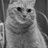 joanlin117's profile image