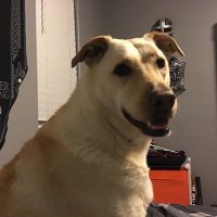 Keith Kowalski (@keithinsimi) 's Twitter Profile