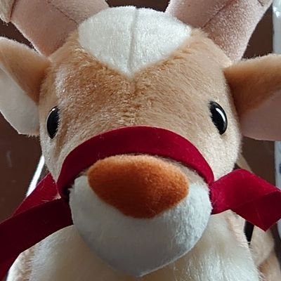 KAna・tO・KOKIさんのプロフィール画像