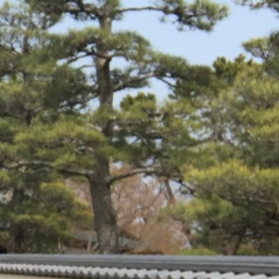 Larm_of's profile picture. 