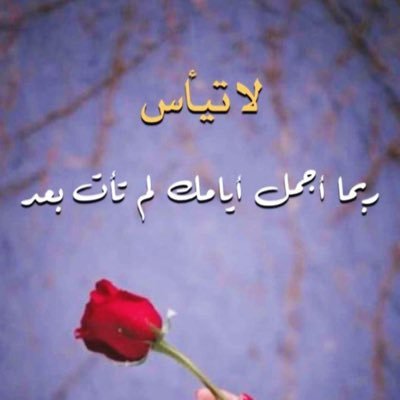 مستشار ة اسرية / اخصائي اجتماعي