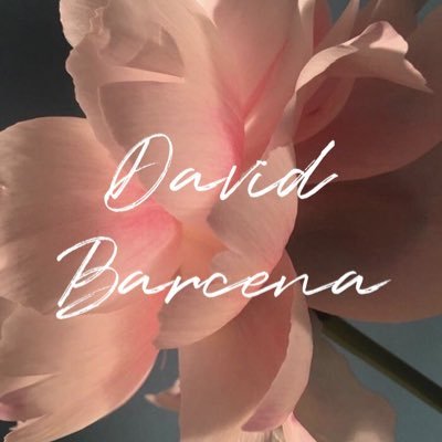 DavidBarcena.Studio 🤍さんのプロフィール画像